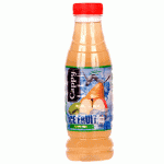 Cappy Ice Fruit Alma 0,33