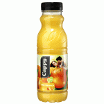 Cappy Ice Fruit Narancs 0,33